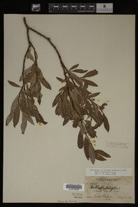 Image Associated With the Occurrence