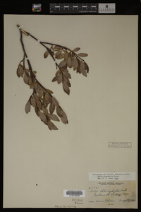 Image Associated With the Occurrence