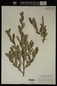 Image Associated With the Occurrence