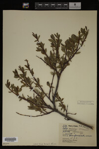 Image Associated With the Occurrence