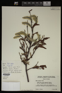 Image Associated With the Occurrence