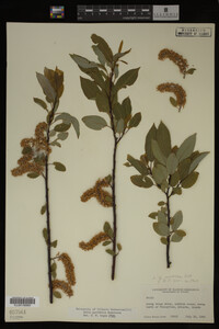 Image Associated With the Occurrence
