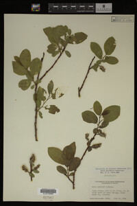 Image Associated With the Occurrence