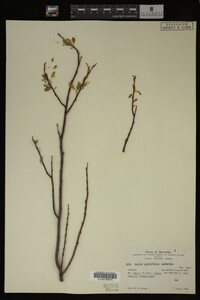 Image Associated With the Occurrence