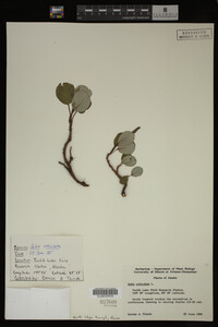 Image Associated With the Occurrence