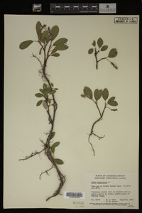 Image Associated With the Occurrence