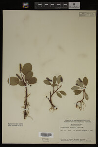 Image Associated With the Occurrence