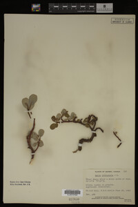 Image Associated With the Occurrence