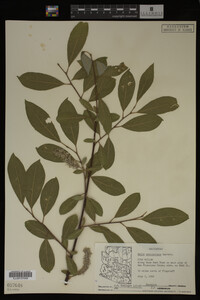Image Associated With the Occurrence