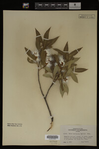 Image Associated With the Occurrence
