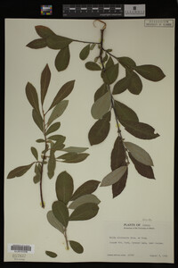 Image Associated With the Occurrence