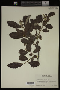Image Associated With the Occurrence