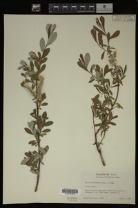 Image Associated With the Occurrence