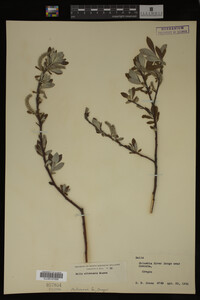Image Associated With the Occurrence