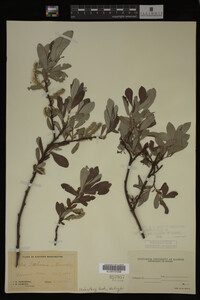 Image Associated With the Occurrence