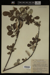 Image Associated With the Occurrence