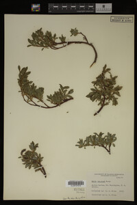 Image Associated With the Occurrence