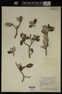 Image Associated With the Occurrence