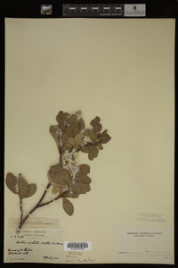 Image Associated With the Occurrence