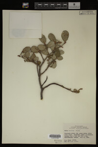 Image Associated With the Occurrence
