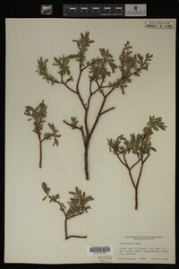 Image Associated With the Occurrence