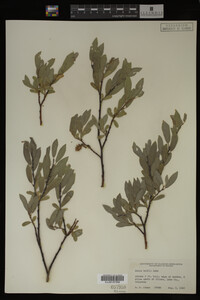 Image Associated With the Occurrence