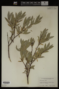 Image Associated With the Occurrence