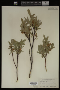 Image Associated With the Occurrence