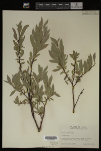 Image Associated With the Occurrence