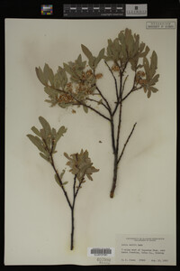 Image Associated With the Occurrence