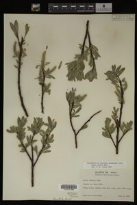 Image Associated With the Occurrence