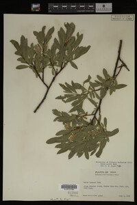 Image Associated With the Occurrence