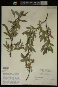 Image Associated With the Occurrence