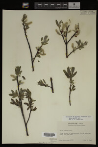 Image Associated With the Occurrence