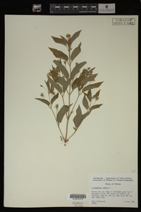 Image Associated With the Occurrence