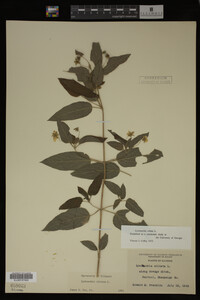 Image Associated With the Occurrence