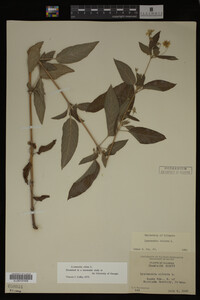 Image Associated With the Occurrence