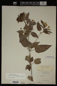 Image Associated With the Occurrence