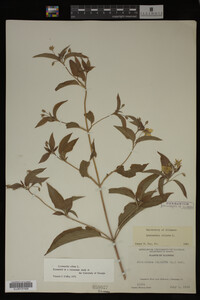 Image Associated With the Occurrence
