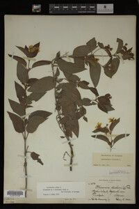 Image Associated With the Occurrence