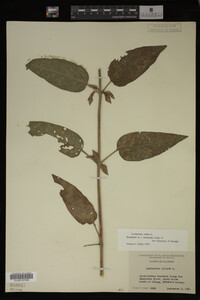 Image Associated With the Occurrence