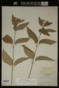 Image Associated With the Occurrence