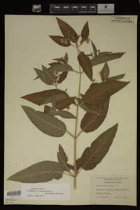 Image Associated With the Occurrence