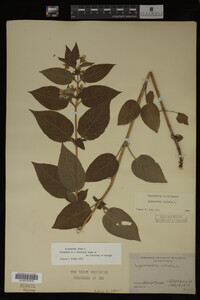 Image Associated With the Occurrence