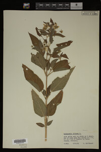 Image Associated With the Occurrence