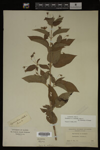 Image Associated With the Occurrence