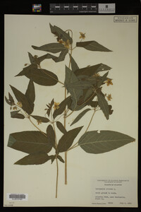 Image Associated With the Occurrence