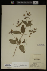 Image Associated With the Occurrence