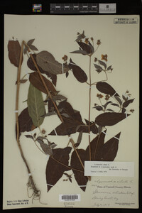 Image Associated With the Occurrence