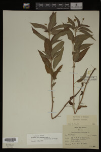 Image Associated With the Occurrence